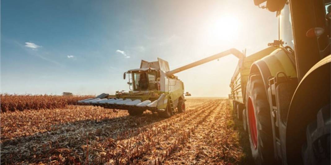 Bereketin başkentleri belli oldu! O ülkelerin toprağı altın değerinde: Peki, tarımda Türkiye’nin yeri nerede? 4